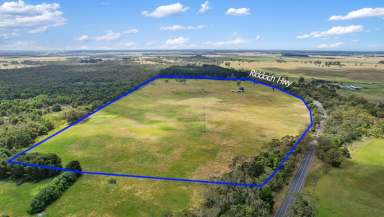 Farm Auction - SA - Dismal Swamp - 5291 - Lot 459 Riddoch Highway Dismal Swamp  (Image 2)