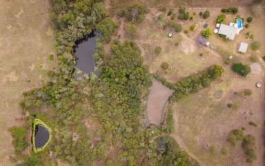 Farm For Sale - QLD - Chatsworth - 4570 - 10 Acres just 8 mins from town? Wow!  (Image 2)