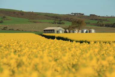 Farm For Sale - SA - Wanilla - 5607 - Opportunity Knocks - "Yarlee"  (Image 2)