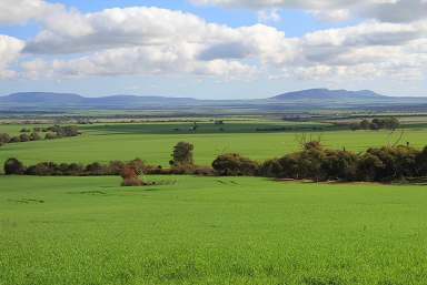 Farm For Sale - SA - Wanilla - 5607 - Opportunity Knocks - "Yarlee"  (Image 2)