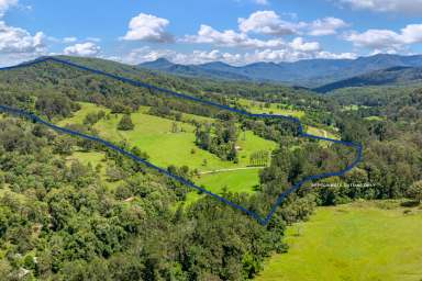 Farm For Sale - NSW - East Gresford - 2311 - 'Franclee' – Upper Allyn via East Gresford  (Image 2)