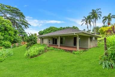 Farm For Sale - QLD - Goldsborough - 4865 - ACREAGE WITH 4 BEDROOMS AND 10 x 6 SHED  (Image 2)