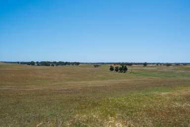 Farm For Sale - SA - Senior - 5268 - Value for Money, Potential Galore, Well Positioned Graze, Irrigation + Crop  (Image 2)