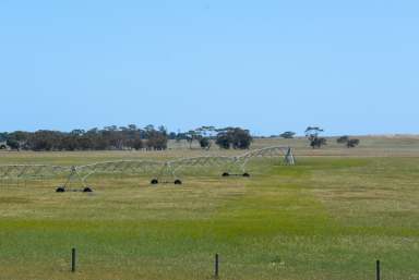 Farm For Sale - SA - Senior - 5268 - Value for Money, Potential Galore, Well Positioned Graze, Irrigation + Crop  (Image 2)