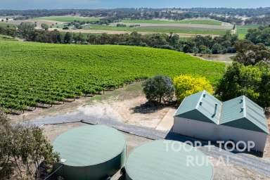 Farm For Sale - SA - Clare - 5453 - Twin-Titled Vineyard with Building Opportunity  (Image 2)