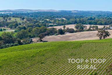 Farm For Sale - SA - Clare - 5453 - Twin-Titled Vineyard with Building Opportunity  (Image 2)