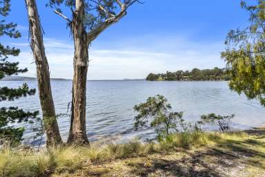 Farm For Sale - TAS - Woodbridge - 7162 - Coastal sanctuary: waterside living at its finest  (Image 2)