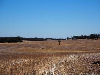 Farm For Sale - WA - Cranbrook - 6321 - Glenrock, Frankland-Cranbrook Road, Cranbrook - productive mixed farming property  (Image 2)