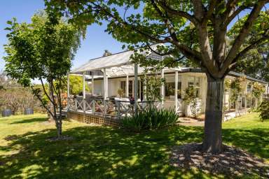 Farm For Sale - TAS - Leslie Vale - 7054 - CHARMING LIFESTYLE PROPERTY  (Image 2)