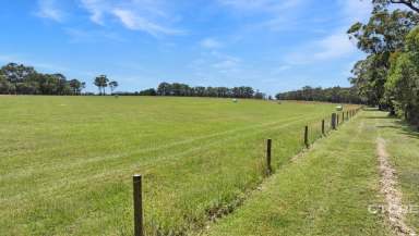 Farm For Sale - VIC - Marlo - 3888 - Over an Acre in Curlip  (Image 2)