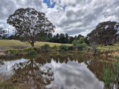 Farm Auction - NSW - Walang - 2795 - "Willow Glen" - Great Opportunity for a Small Farm  (Image 2)