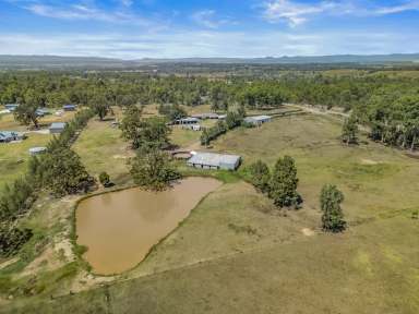 Farm For Sale - NSW - Singleton - 2330 - Development Potential / Rural Lifestyle Opportunity on the Fringe of Town!  (Image 2)