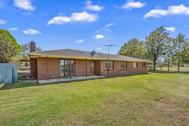 Farm For Sale - NSW - Singleton - 2330 - Development Potential / Rural Lifestyle Opportunity on the Fringe of Town!  (Image 2)