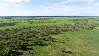 Farm Auction - QLD - Cunnamulla - 4490 - Prime Cunnamulla Grazing Country  (Image 2)