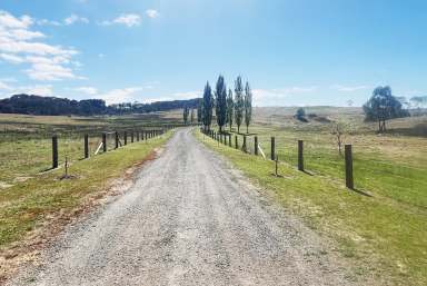 Farm For Sale - NSW - Bungonia - 2580 - 650 ACRES, 3 BR HOME, PERMANENT CREEK, GRAZING COUNTRY, GREAT LOCATION, MACHINERY AND STORAGE SHEDS.  (Image 2)