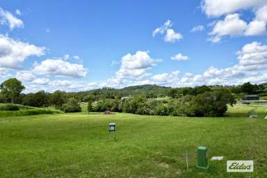 Farm For Sale - QLD - Chatsworth - 4570 - Creek Front 1.15 acre Property!  (Image 2)