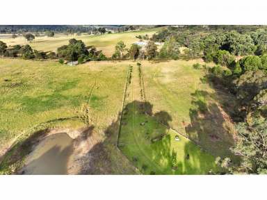 Farm For Sale - VIC - Sarsfield - 3875 - Large Acreage Close to Bairnsdale  (Image 2)