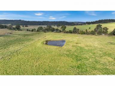 Farm For Sale - VIC - Sarsfield - 3875 - Large Acreage Close to Bairnsdale  (Image 2)