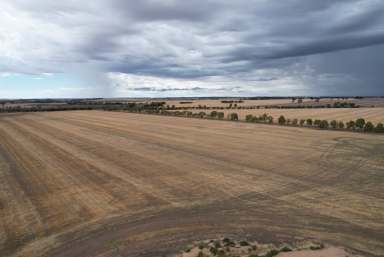 Farm Auction - WA - Bulyee - 6306 - Well Known Bulyee Farm To Auction  (Image 2)