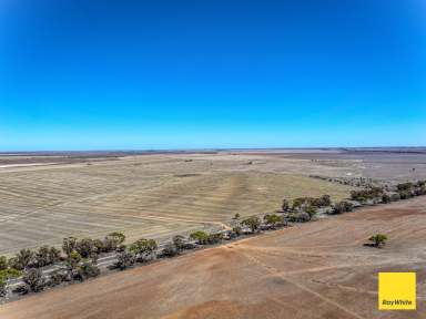 Farm Tender - VIC - Donald - 3480 - No Fuss Expansion Opportunity  (Image 2)