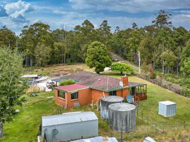 Farm For Sale - TAS - Parkham - 7304 - 4 Bedroom Home  (Image 2)