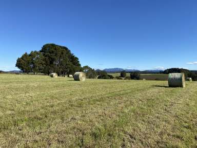 Farm For Sale - TAS - Kindred - 7310 - Part of 1360 Kindred Road  (Image 2)