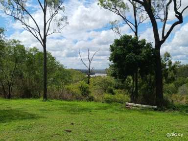 Farm For Sale - QLD - Delan - 4671 - Burnett River Frontage In Prime Position & Absolute Fresh Water Frontage to Catch Your Own Barramundi  (Image 2)