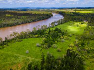 Farm For Sale - QLD - Delan - 4671 - Burnett River Frontage In Prime Position & Absolute Fresh Water Frontage to Catch Your Own Barramundi  (Image 2)