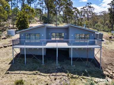 Farm For Sale - TAS - Wattle Hill - 7172 - Dreamy country lifestyle on over 12 acres  (Image 2)