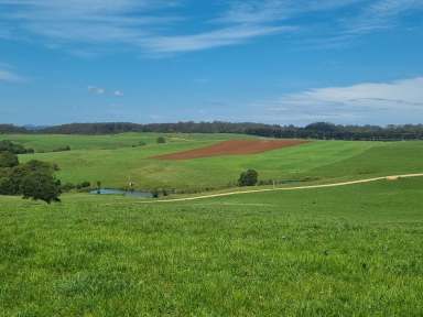 Farm For Sale - TAS - Henrietta - 7325 - Henrietta  (Image 2)