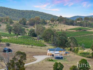 Farm For Sale - NSW - Mount View - 2325 - Wine Country Perfection  (Image 2)