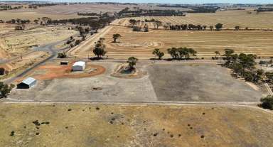 Farm For Sale - WA - Dumbleyung - 6350 - 4.94 ACRES ZONED TOWN RURAL  (Image 2)