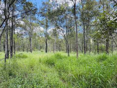 Farm For Sale - QLD - North Aramara - 4620 - SECLUDED 349 ACRES IN THE WIDE BAY REGION  (Image 2)