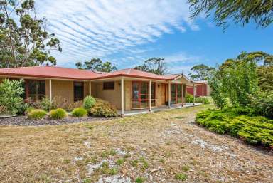 Farm For Sale - TAS - Smithton - 7330 - Huge Family Home With Shedding Galore  (Image 2)