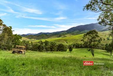 Farm For Sale - NSW - Gloucester - 2422 - "Arcadian Park"  (Image 2)