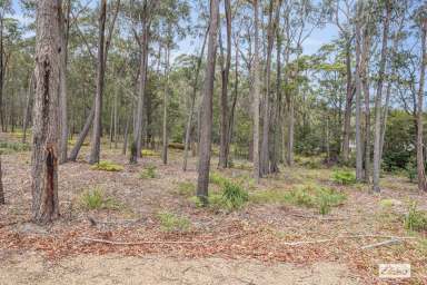 Farm For Sale - NSW - Wallagoot - 2550 - Your Private Slice of Nature – Build Your Dream Home  (Image 2)