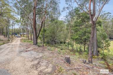 Farm For Sale - NSW - Wallagoot - 2550 - Your Private Slice of Nature – Build Your Dream Home  (Image 2)