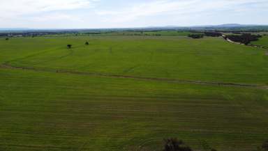 Farm Auction - SA - Booleroo Centre - 5482 - Opportunity to Expand on Current Operations  (Image 2)