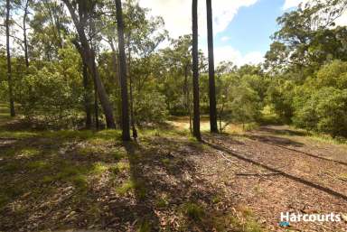 Farm For Sale - QLD - South Isis - 4660 - SO CLOSE YET SO FAR.  (Image 2)