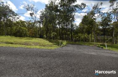 Farm For Sale - QLD - South Isis - 4660 - SO CLOSE YET SO FAR.  (Image 2)