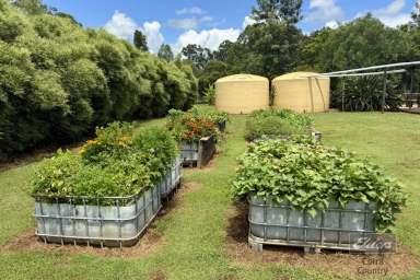 Farm For Sale - QLD - Glenwood - 4570 - ESCAPE TO YOUR OWN PIECE OF PARADISE - SELF-SUFFICIENT ACREAGE LIVING!  (Image 2)