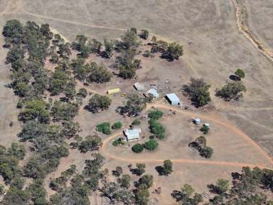 Farm Auction - VIC - Burkes Flat - 3475 - AUCTION “Perry’s House” Thursday 13th February 11am  (Image 2)