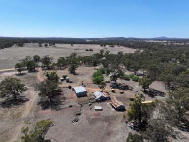 Farm Auction - VIC - Burkes Flat - 3475 - AUCTION “Perry’s House” Thursday 13th February 11am  (Image 2)