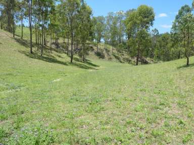 Farm Sold - NSW - Rocky River - 2372 - AS FRESH AS A DAISY  (Image 2)