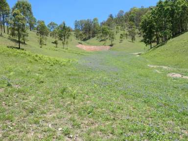 Farm Sold - NSW - Rocky River - 2372 - AS FRESH AS A DAISY  (Image 2)