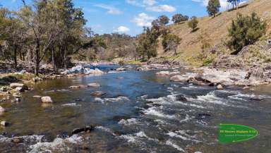 Farm For Sale - NSW - Bruinbun - 2795 - "Araluen West" 1880 Acres* With Macquarie River Frontage  (Image 2)