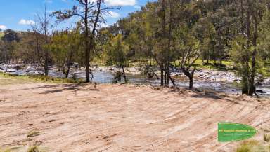 Farm For Sale - NSW - Bruinbun - 2795 - "Araluen West" 1880 Acres* With Macquarie River Frontage  (Image 2)