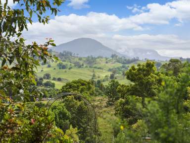 Farm For Sale - NSW - Tyalgum - 2484 - The ultimate private nature lovers retreat nestled on 24 undulating acres…  (Image 2)