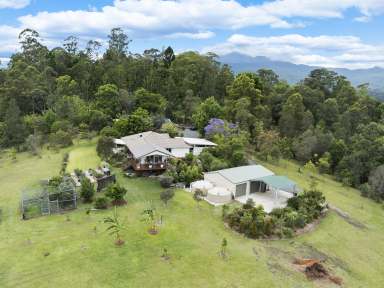 Farm For Sale - NSW - Tyalgum - 2484 - The ultimate private nature lovers retreat nestled on 24 undulating acres…  (Image 2)