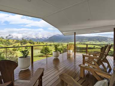 Farm For Sale - NSW - Tyalgum - 2484 - The ultimate private nature lovers retreat nestled on 24 undulating acres…  (Image 2)